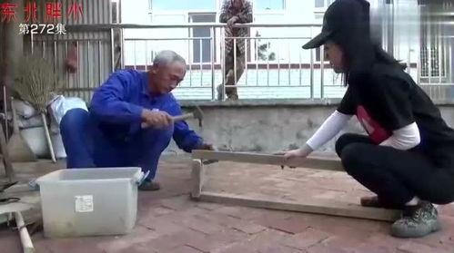 东北胖小视频在线观看,趣味横生的短视频盛宴,在线观看笑翻天 第1张 东北胖小视频在线观看,趣味横生的短视频盛宴,在线观看笑翻天 第1张